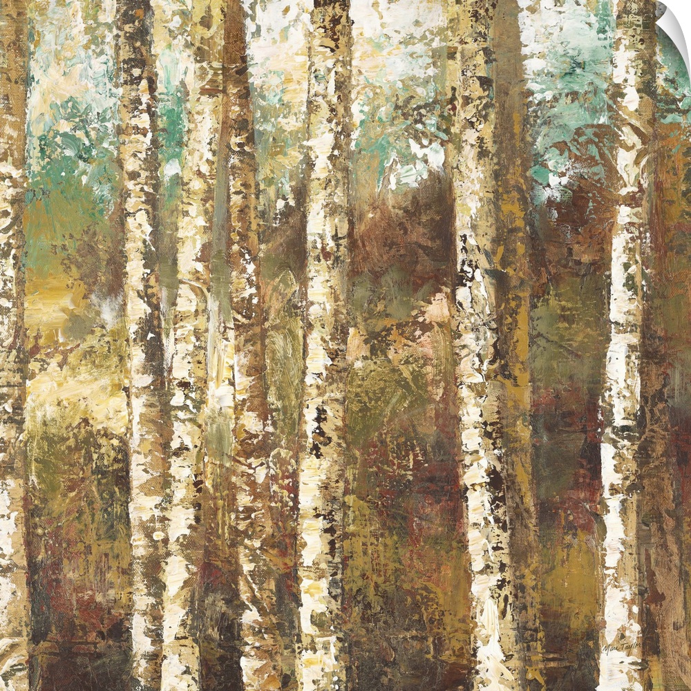 Contemporary painting of a forest of white birch trees.