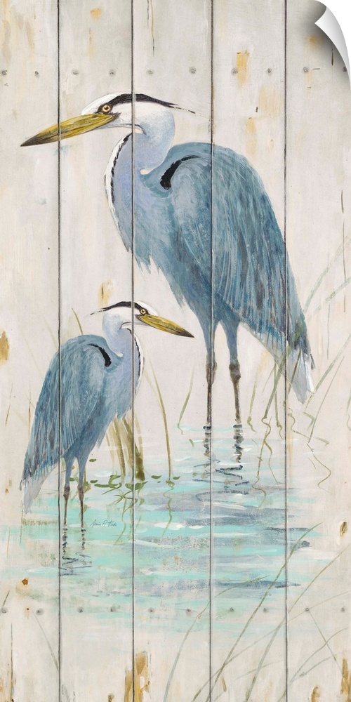 Blue Heron Duo