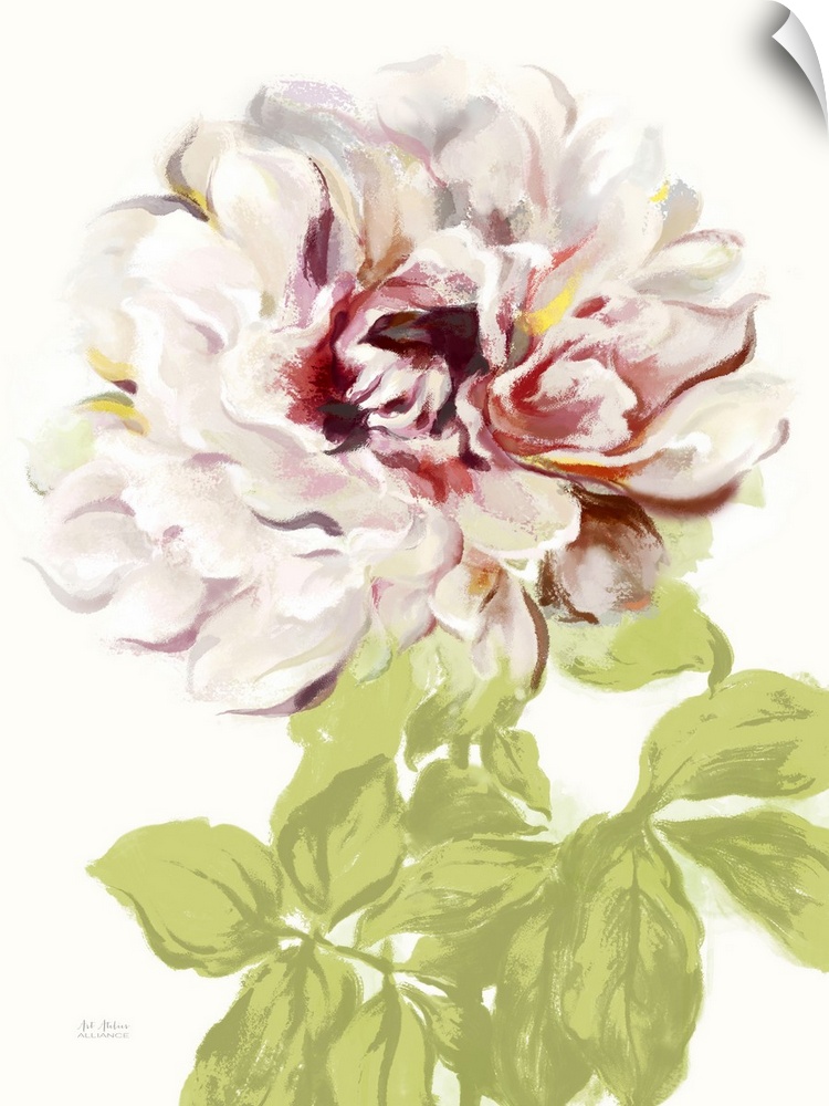 Contemporary home decor art of a pale pink peony against a white background.