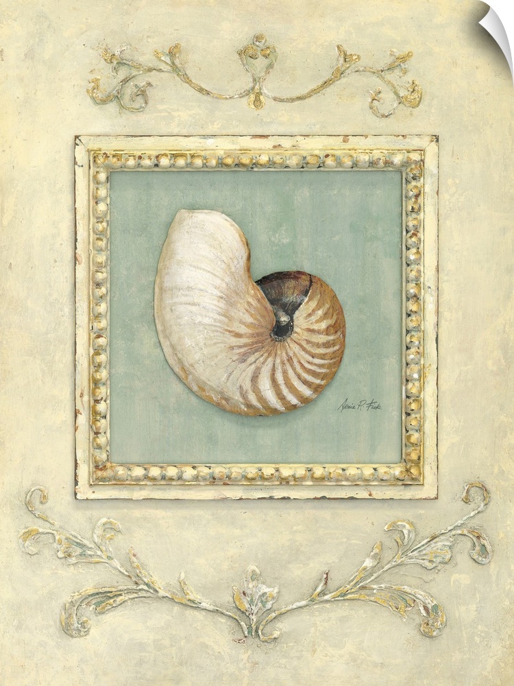 Classic Seashell Detail