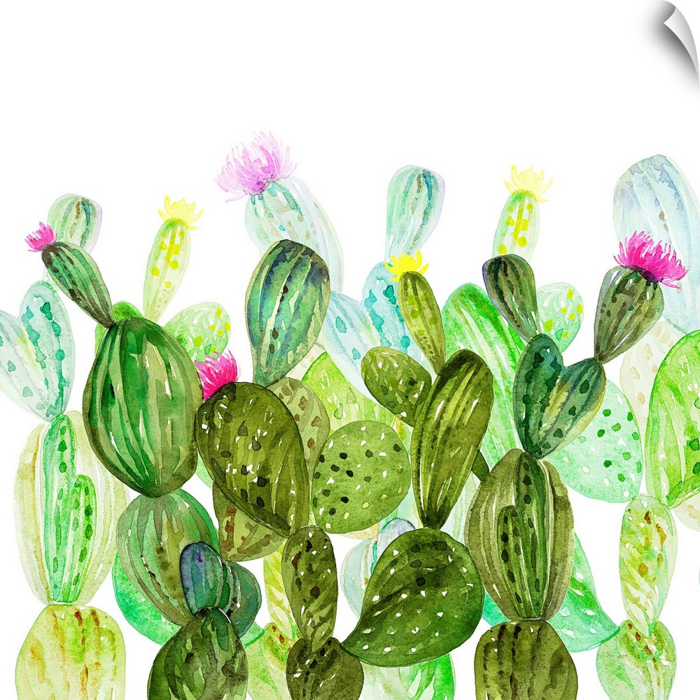 Vivid illustration of a variety of green cactus plants.