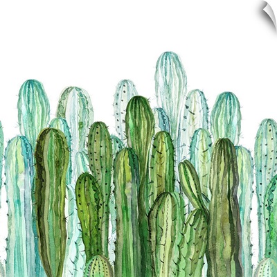 Delightful Cactus Garden II
