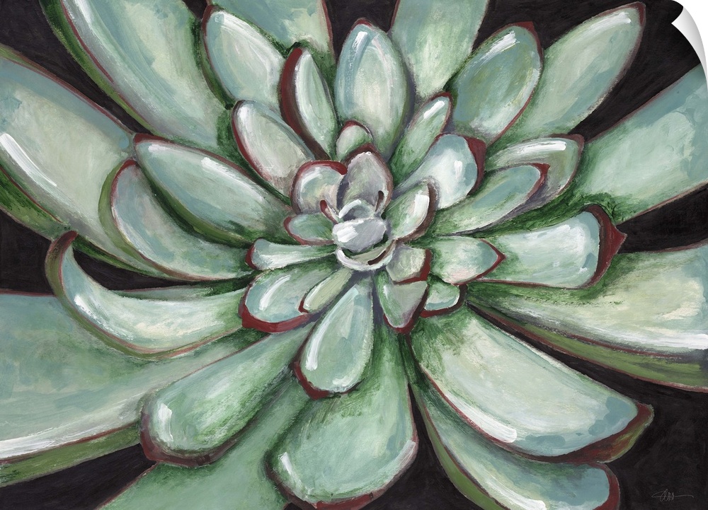 Contemporary home decor artwork of a close-up of a green succulent.