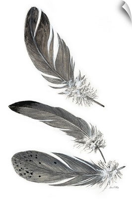 Feather Study III