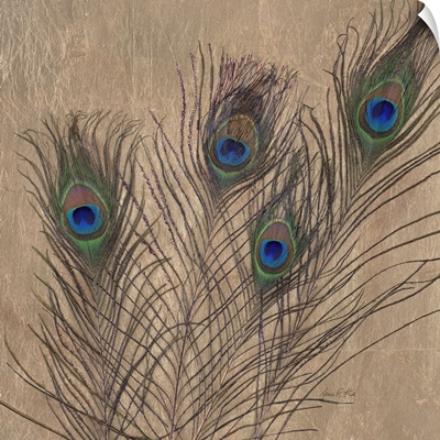 Gilded Peacock Feathers