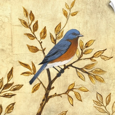 Golden Bluebird