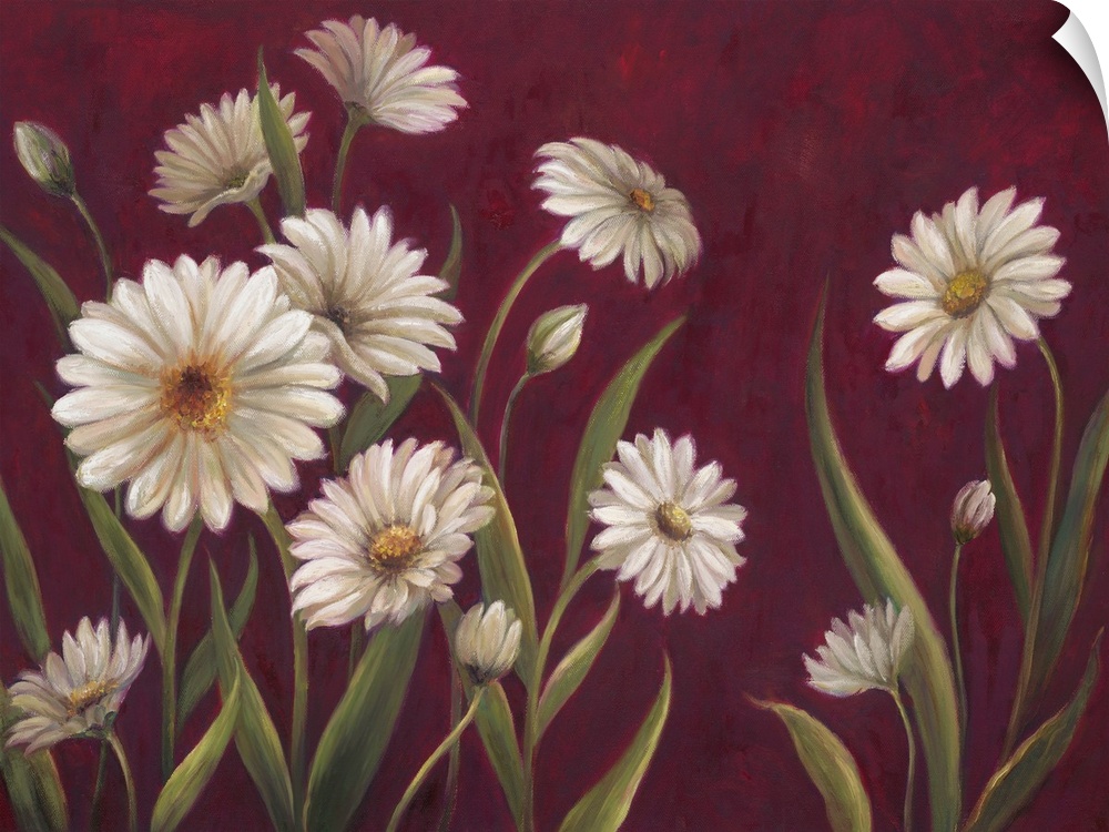 Home decor artwork of white daisies against a deep red background.