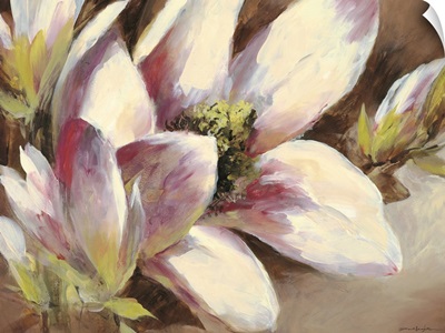 Magnolia Breeze