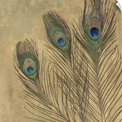 Metallic Peacock Feathers