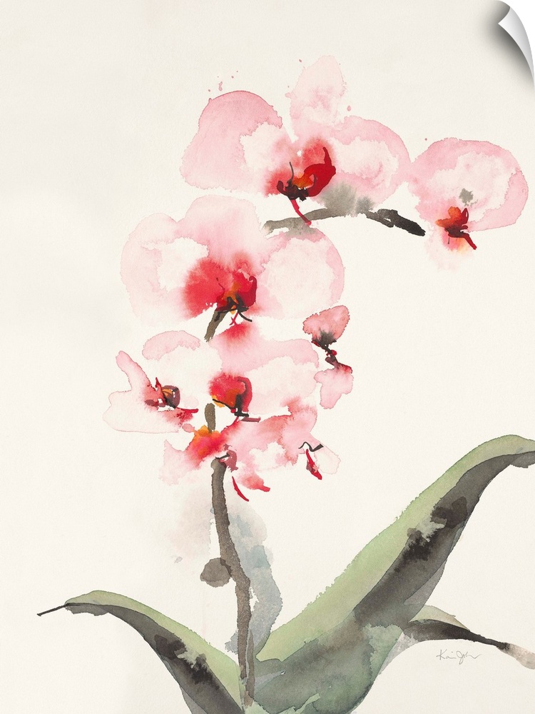 Contemporary artwork of watercolor painted pink orchids.