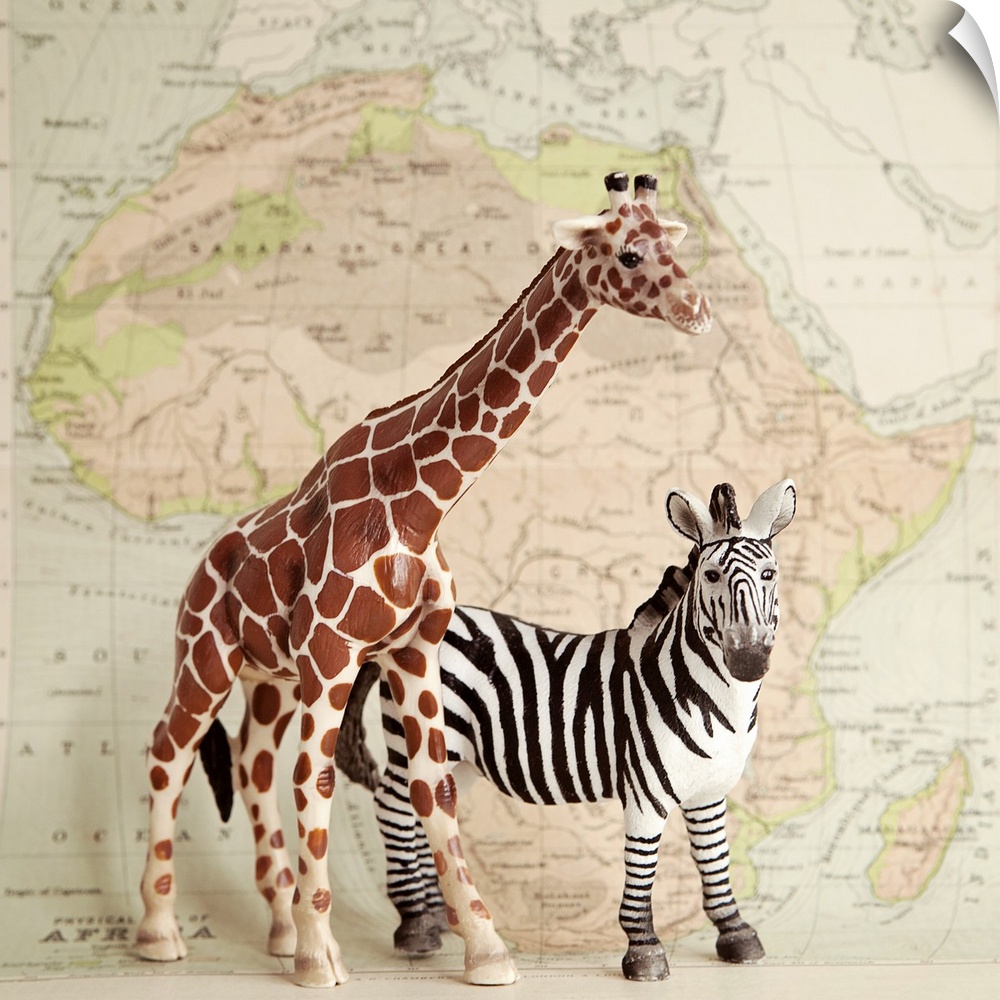 A toy giraffe and zebra with a vintage map backdrop.