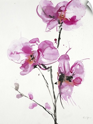 Orchids I