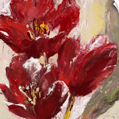 Passionate Red Tulip