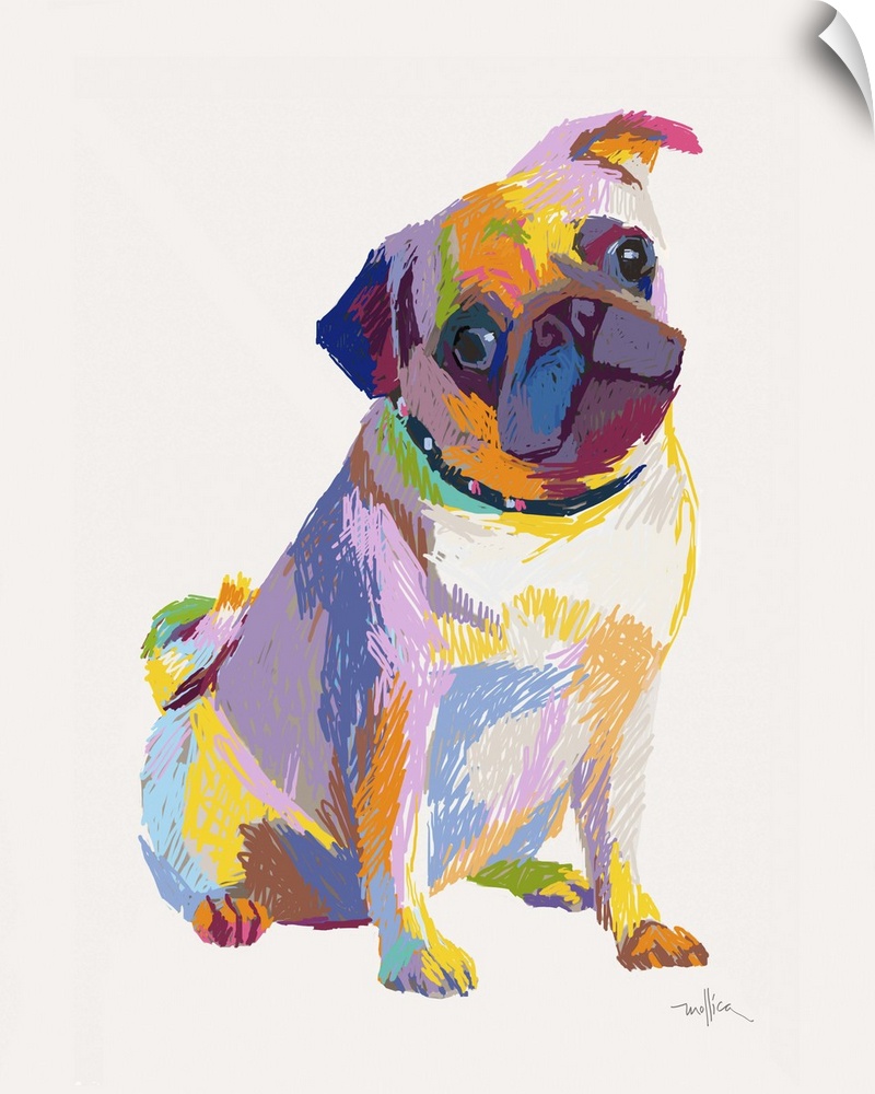 Colorful sketch of a pug dog in bright colors tilting head the side.