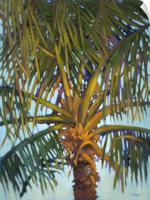 Riviera Palm