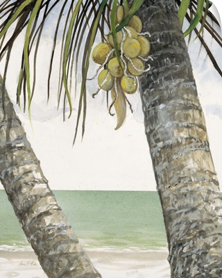Seaside Coconuts