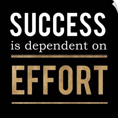 Success and Effort