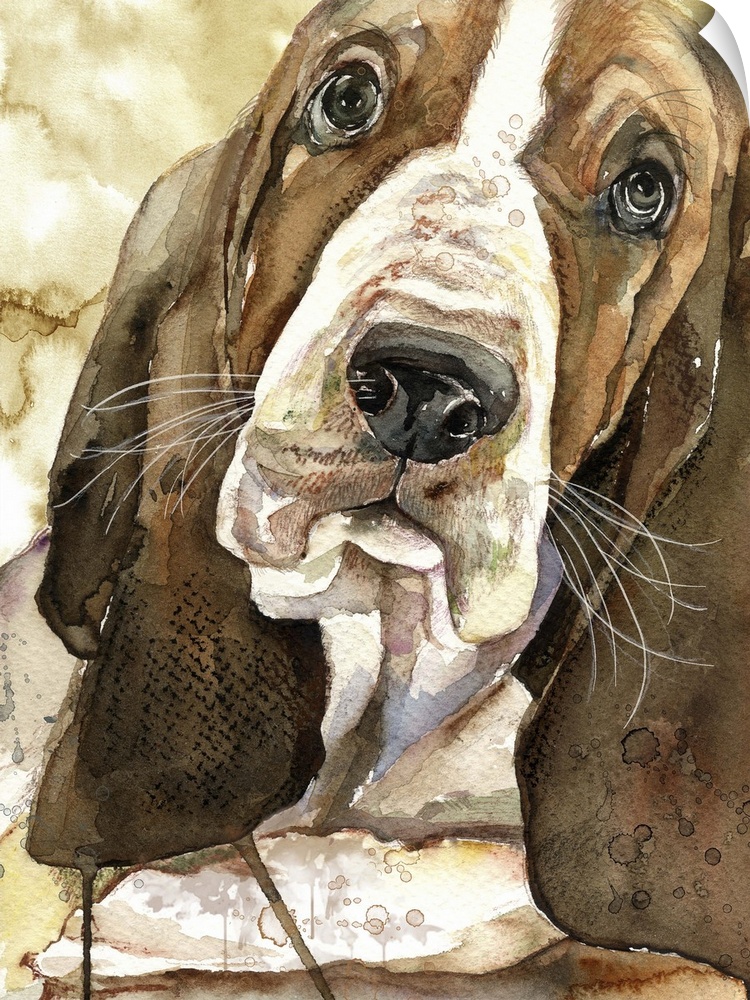 Contemporary painting of a close-up of a basset hound.