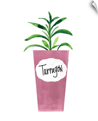 Tarragon Pot