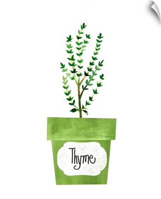 Thyme Pot