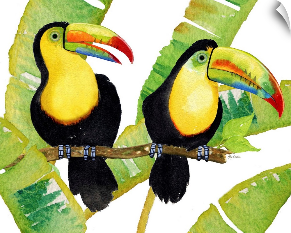Two keel-billed toucans with large palm leaves.