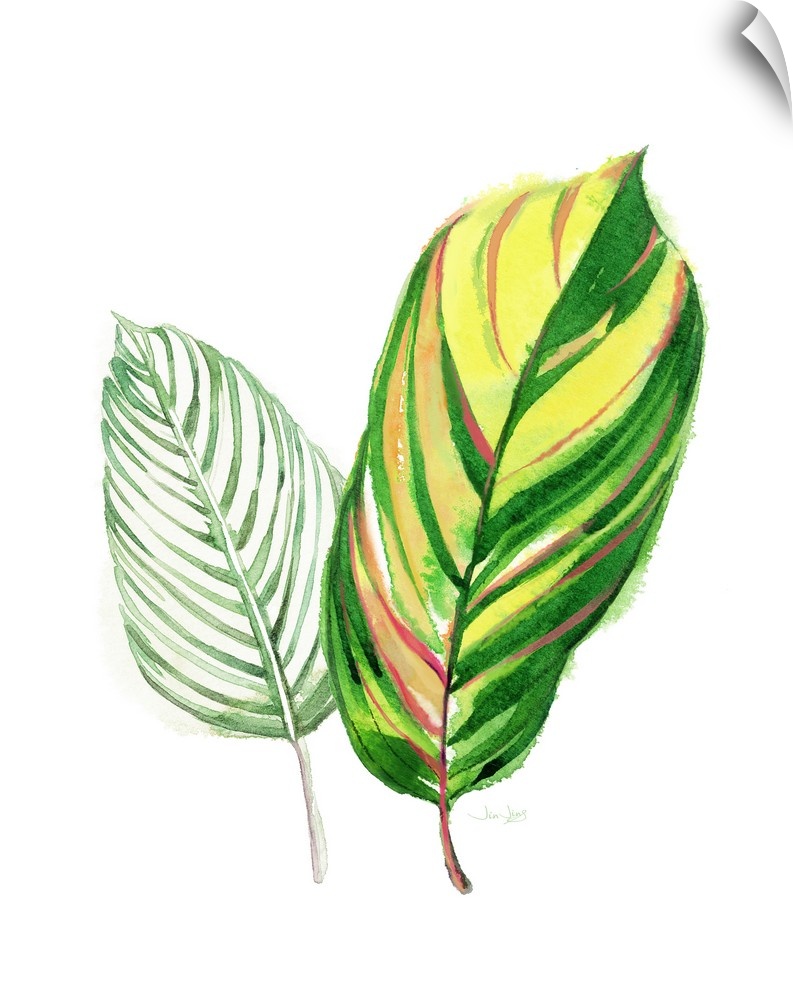 Painting of two tropical palm leaves in green, yellow, orange, and pink hues on a solid white background.