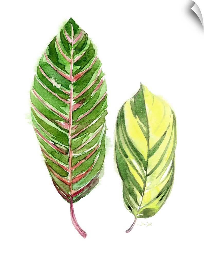 Painting of two tropical palm leaves in green, yellow, and pink hues on a solid white background.