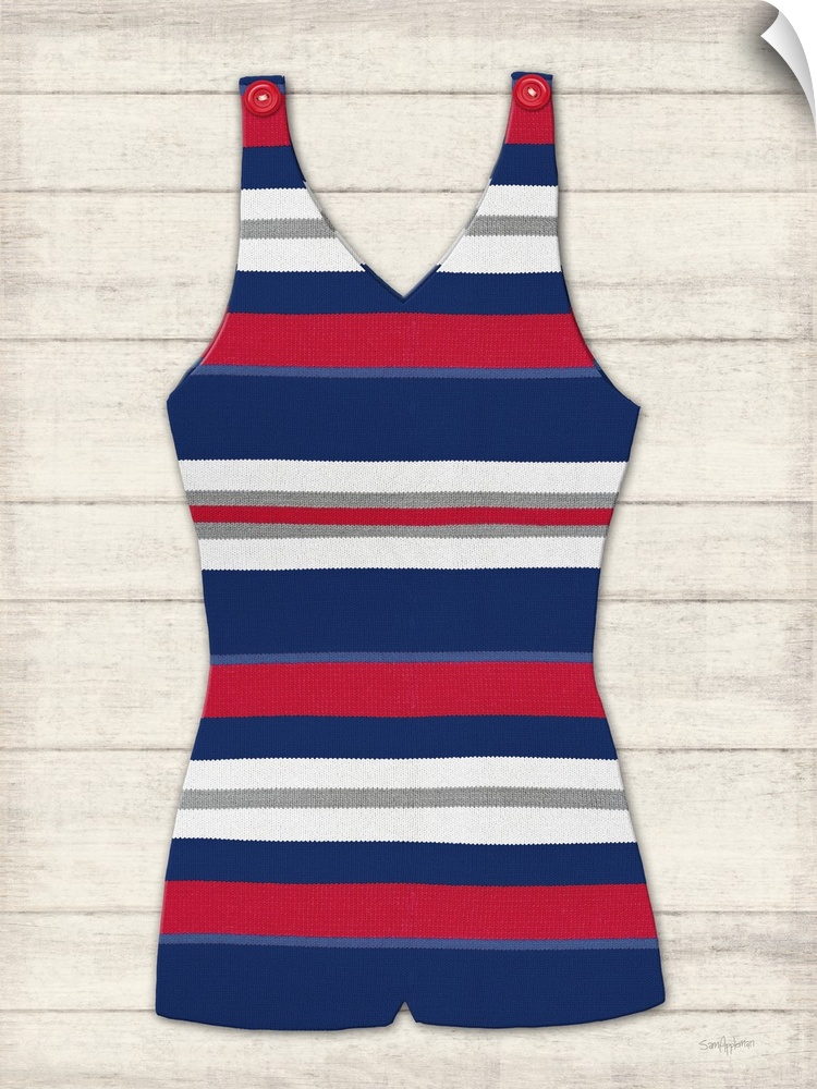 Vintage Swim Suit Blue and Red I