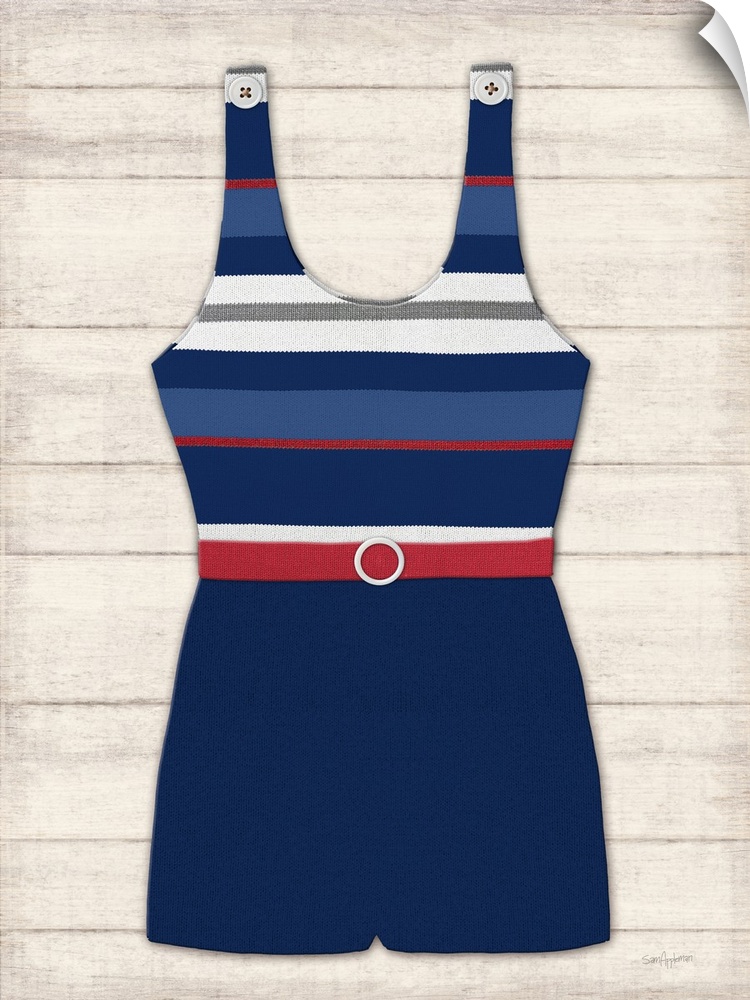 Vintage Swim Suit Blue and Red II