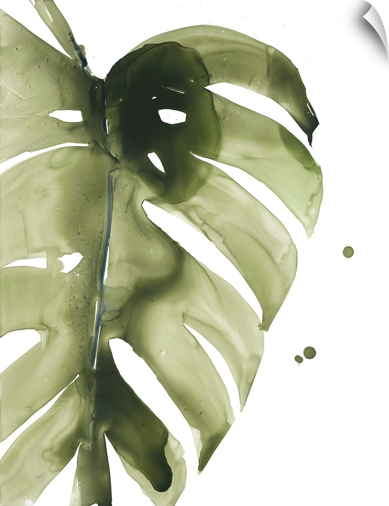 Watercolor painting of a muted green tropical leaf on white.