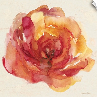 Watery Rose I
