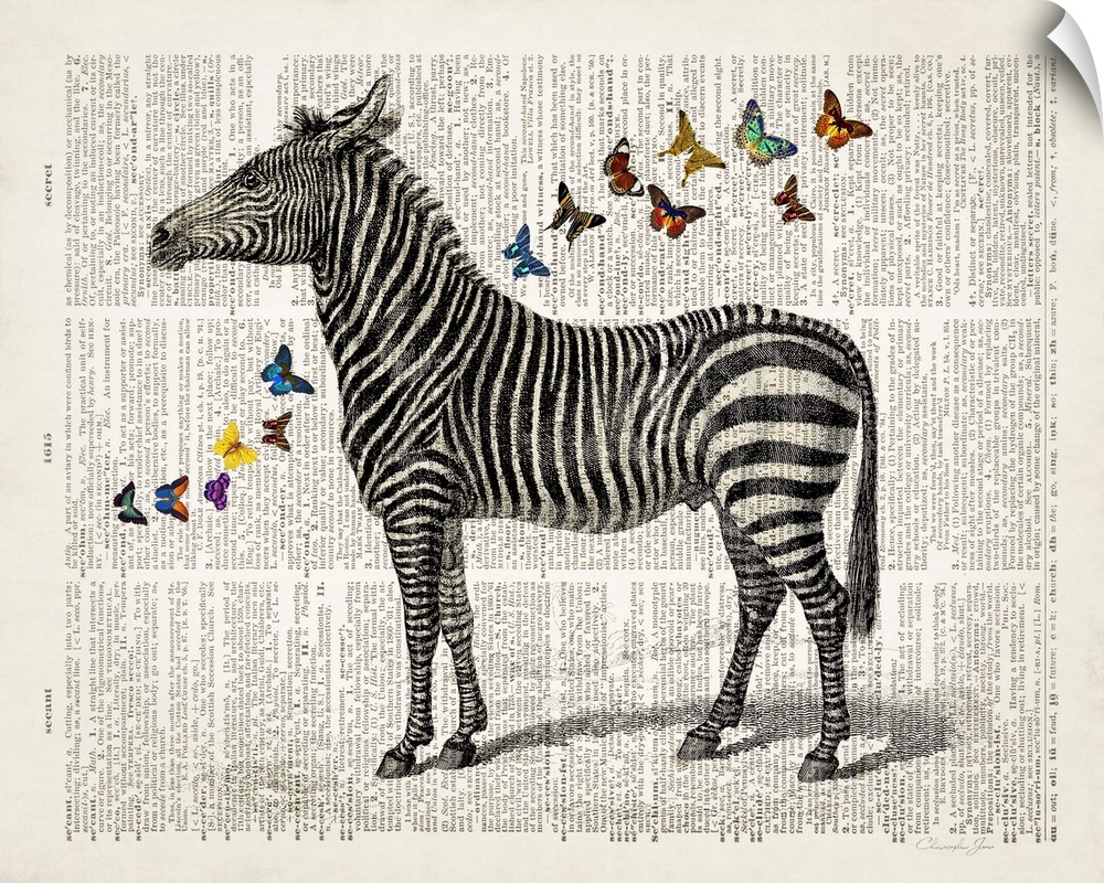 Vintage illustration of a zebra with colorful butterflies on a dictionary page.