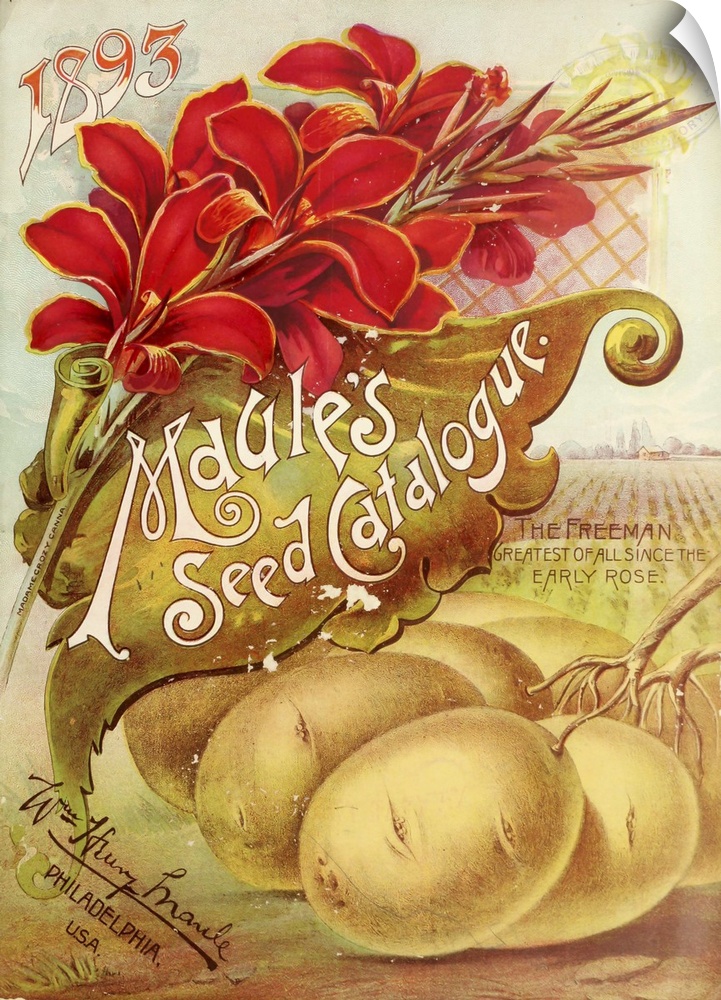 Vintage poster advertisement for 1893 Maule's Seed.