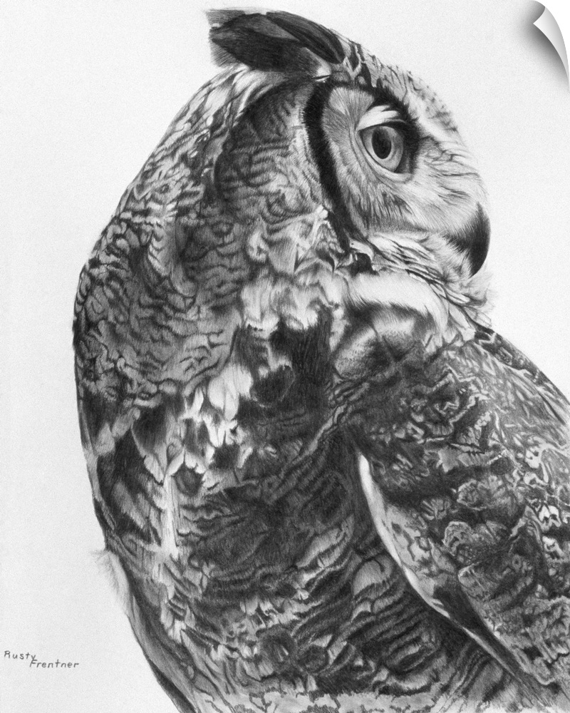A noble-looking owl turns its head 180 degrees backwards to look behind it.