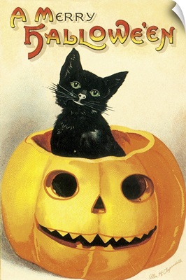 A Merry Halloween, Black Kitten in Jack-O-Lantern