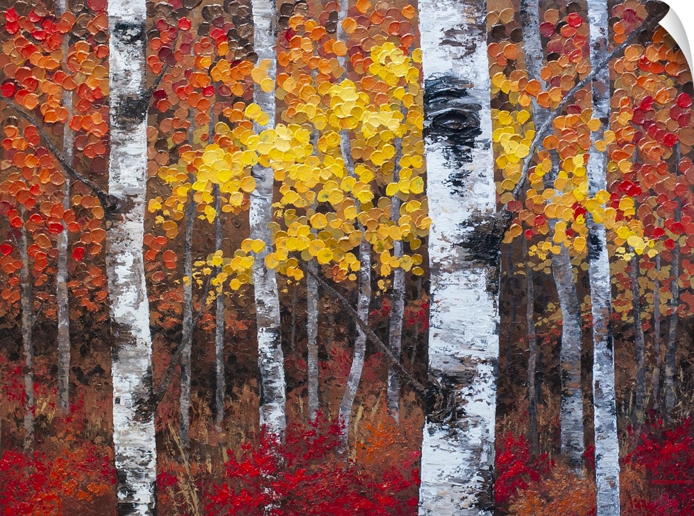 Autumn forest landscape painting of aspen trees and birch trees giclee art print on canvas by contemporary abstract landsc...