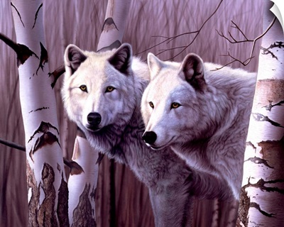 A Pair Of White Wolves