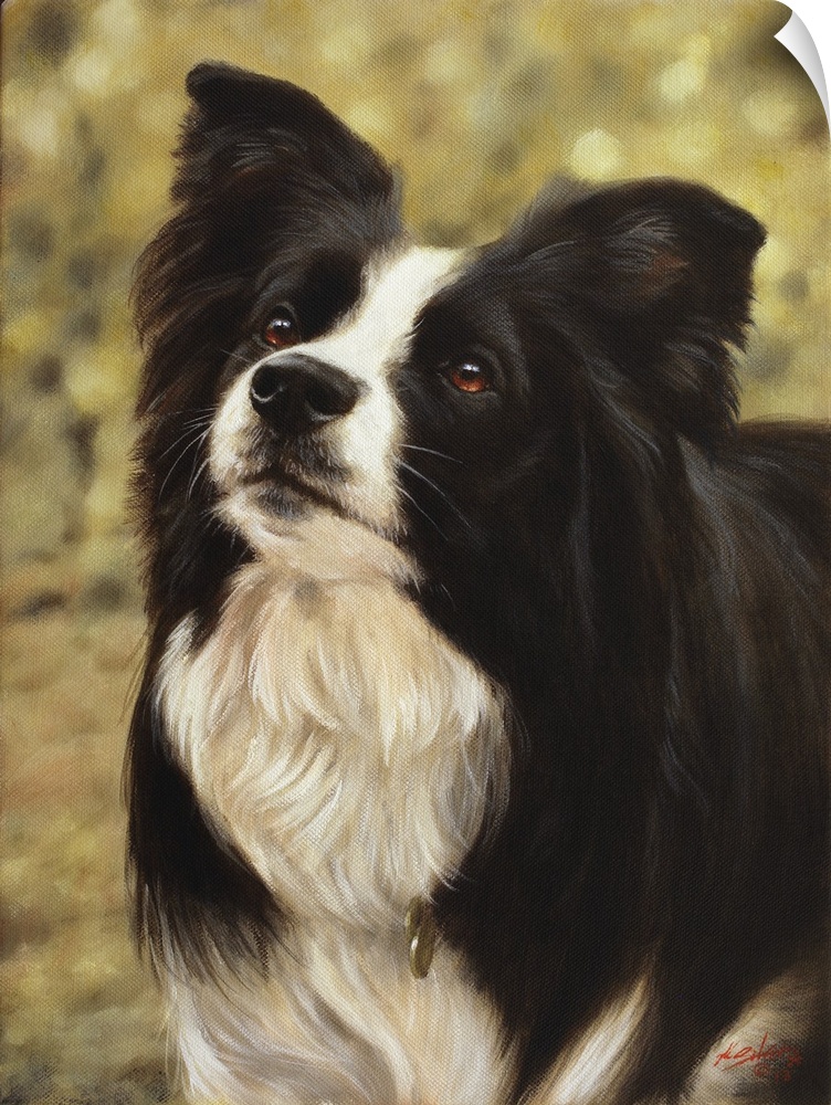 Contemporary painting of a black and white shepherd dog.
