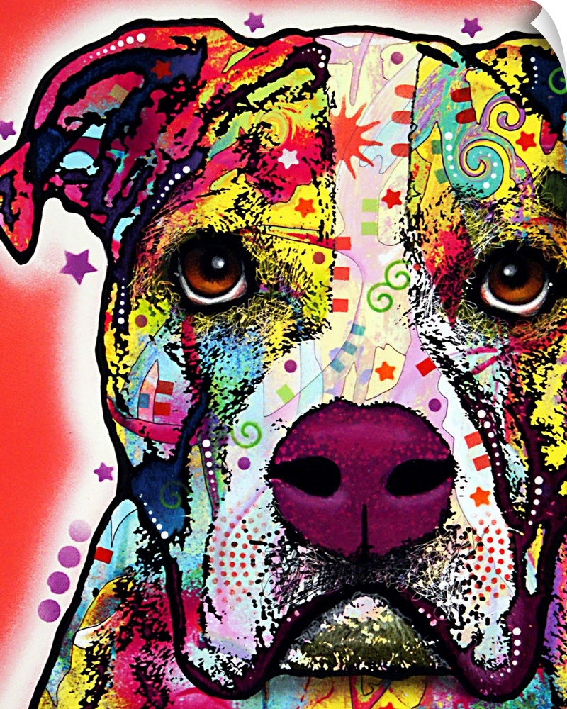Bull Dog, rainbow, graffiti coloring