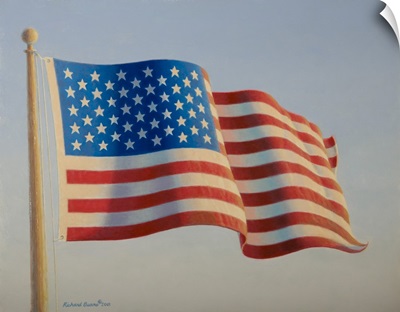 American Flag IV