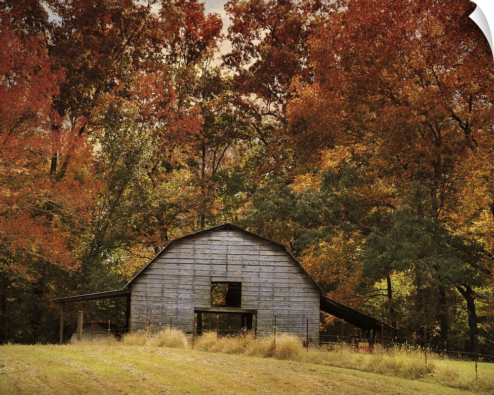 Fine art photo of a round barn in a forest in the fall.