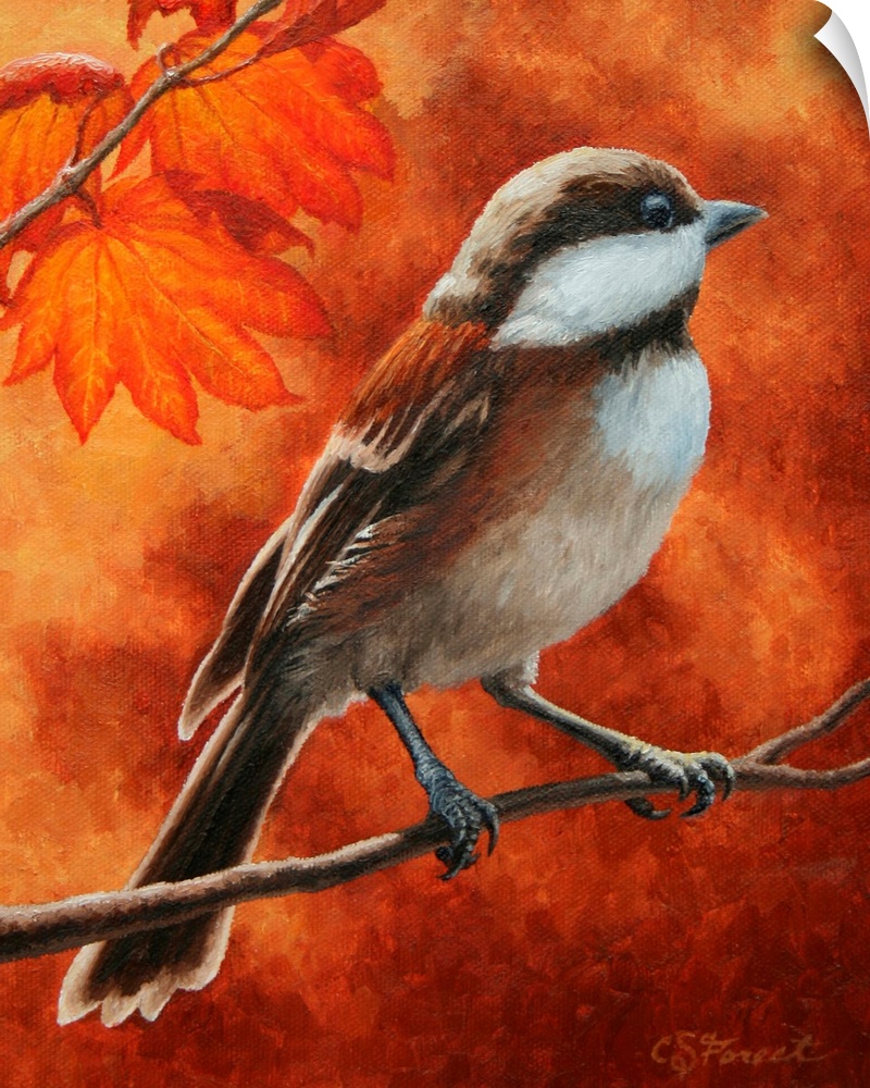 Chickadee on a branch in autumn.