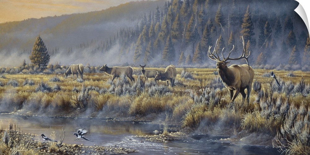 Elk in a field by a river.