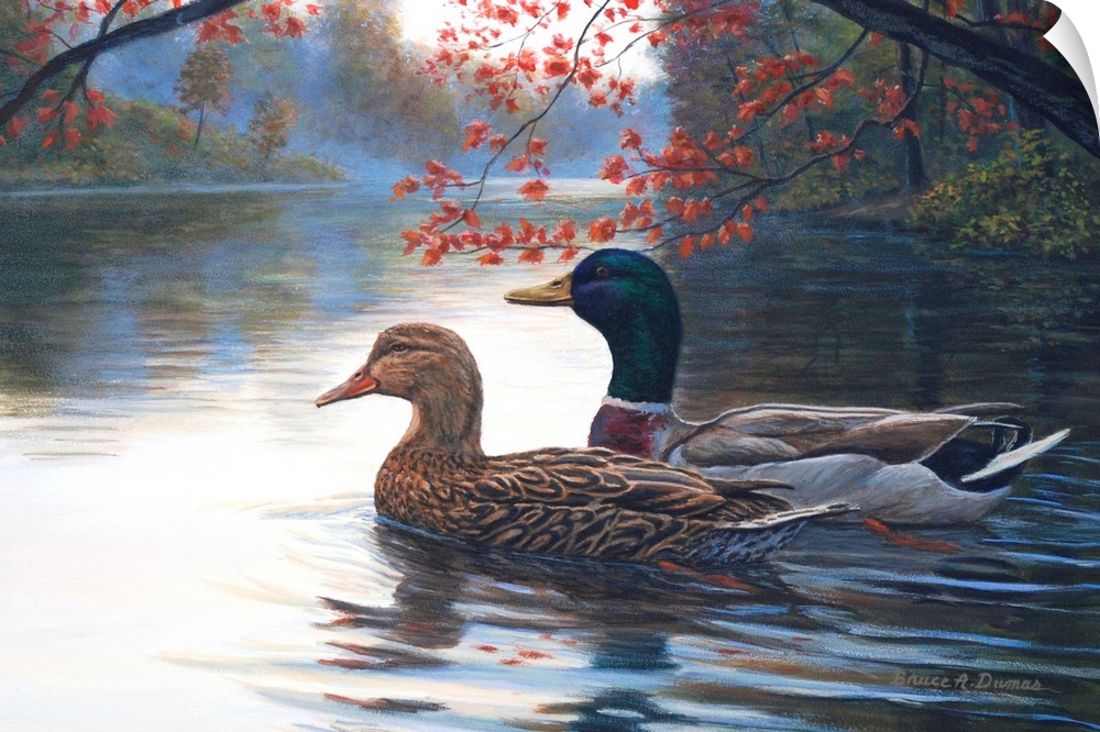 Contemporary artwork of a pair of ducks in the water.