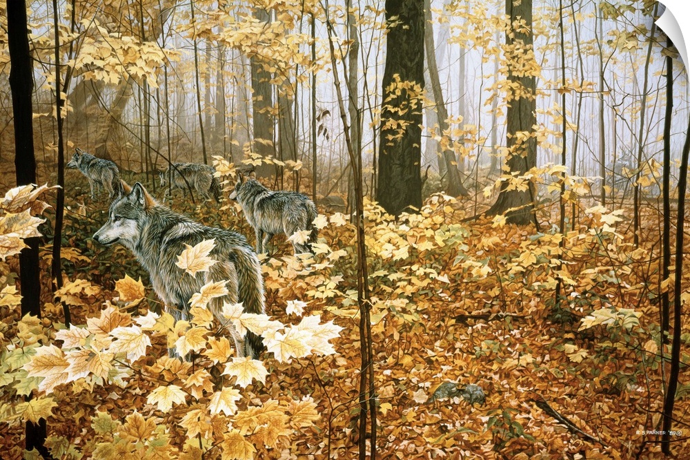 A group of wolves traveling through an autumn forest.
