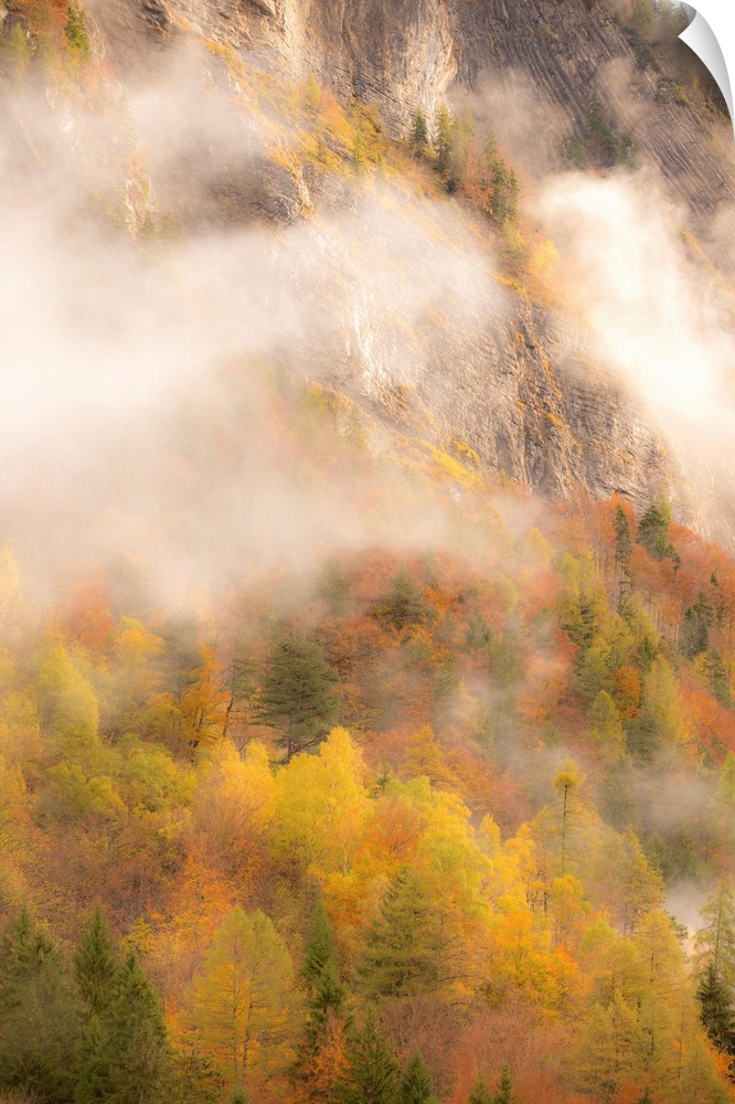 Landscape photograph of colorful Autumn trees under foggy mountain rock cliffs.