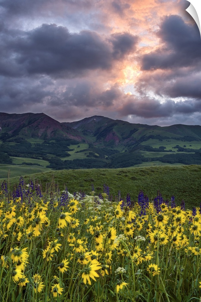 A photograph of a mountain range in a wilderness landscape with dramatic clouds hanging above.