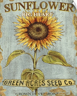 Big Heart Seeds