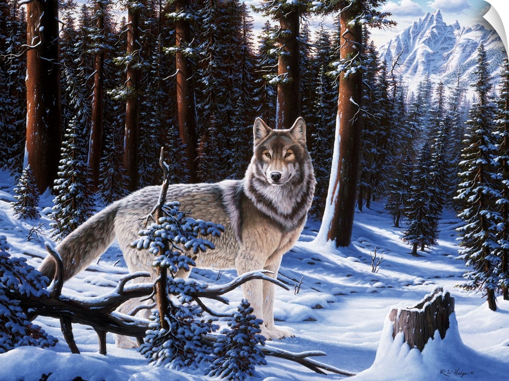 A wolf standing in the winter forest, mountains in the background.