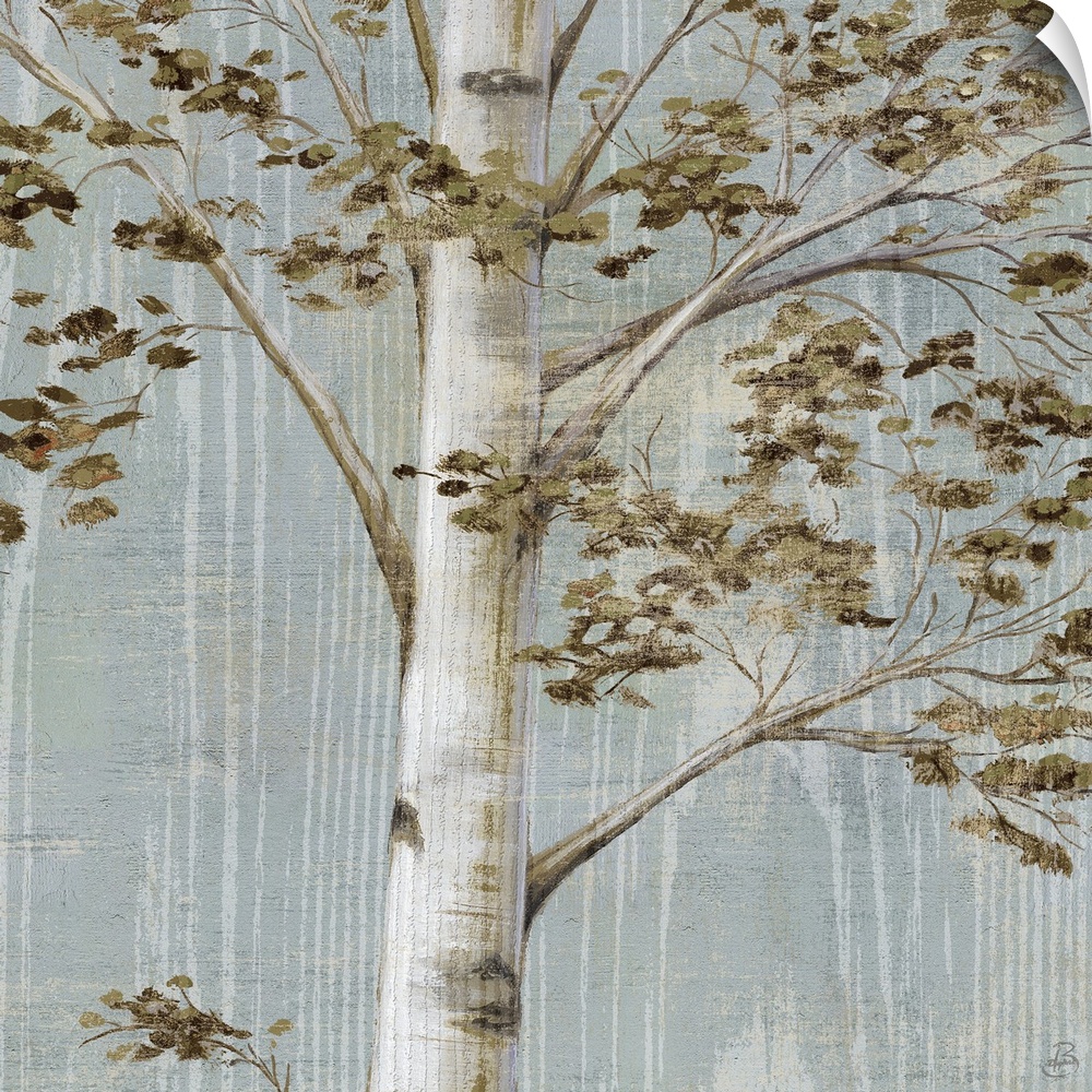 birch trees on aqua wood grain